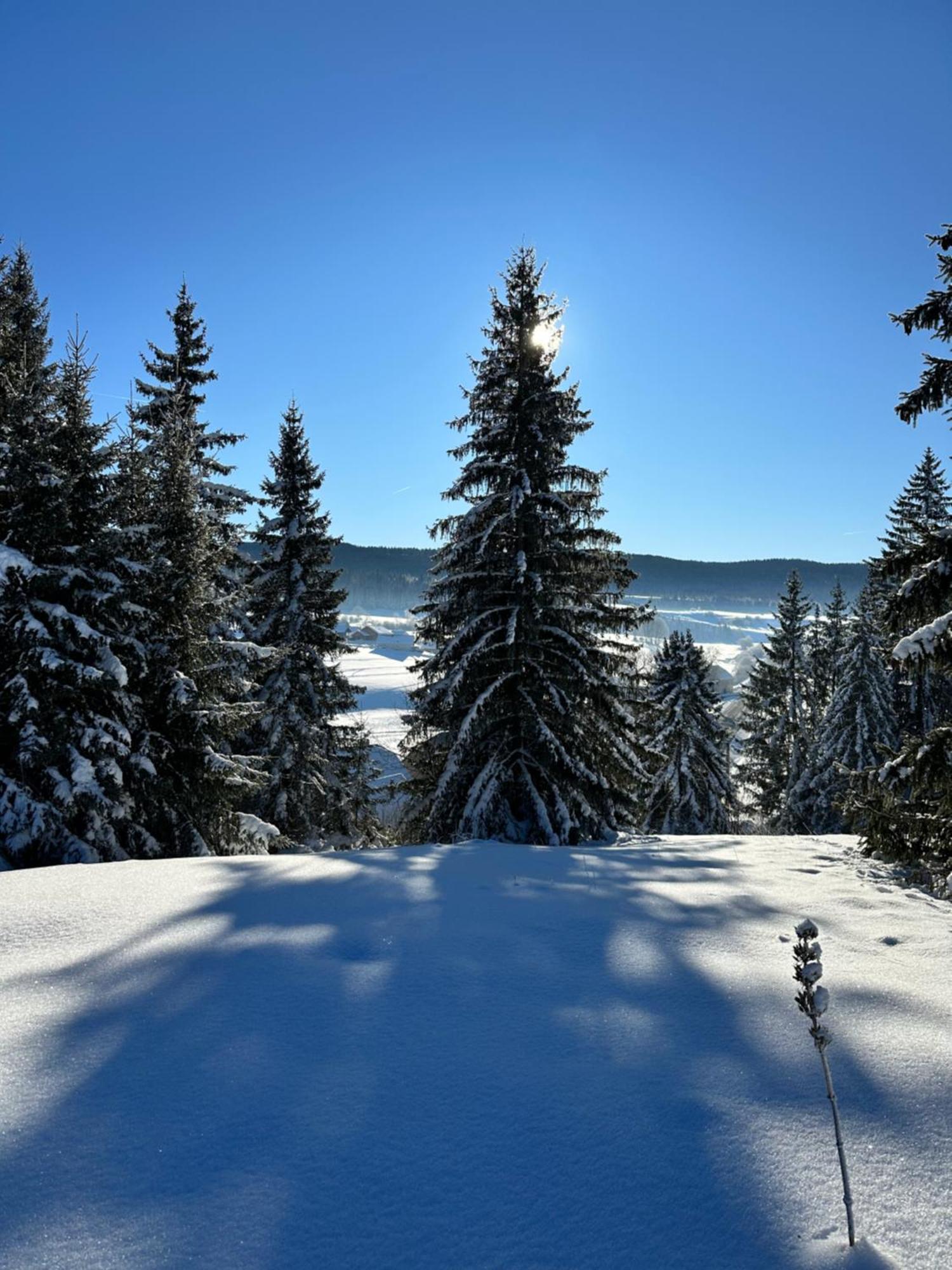 Le Belvedere Des Deux Lacs Brey-et-Maison-du-Bois ภายนอก รูปภาพ