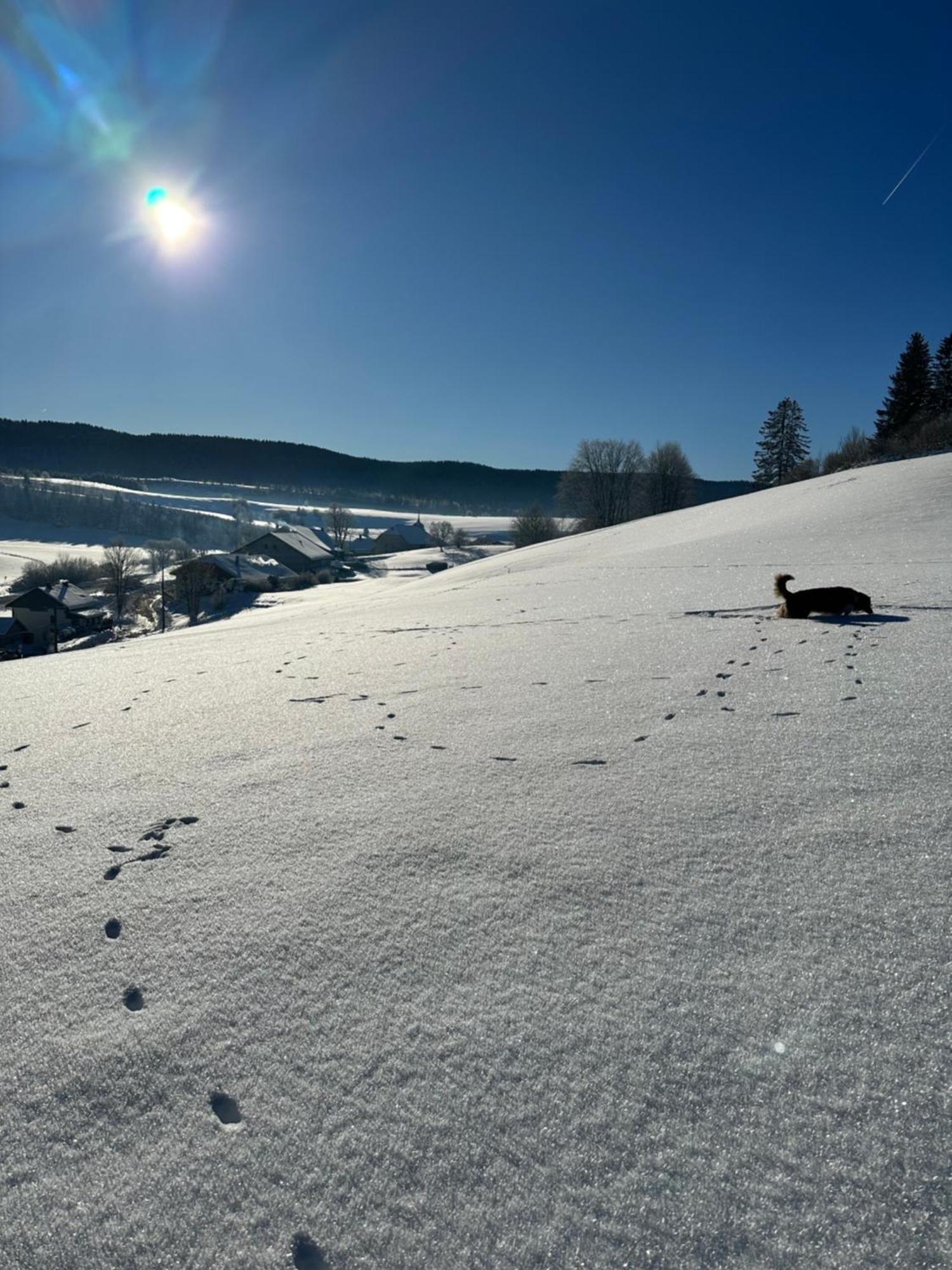 Le Belvedere Des Deux Lacs Brey-et-Maison-du-Bois ภายนอก รูปภาพ
